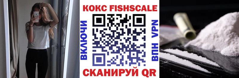 КОКАИН FishScale  купить наркоту  гидра ONION  Элиста 