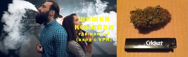 spice Карпинск