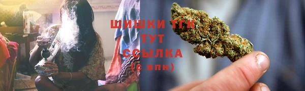 тгк Касимов