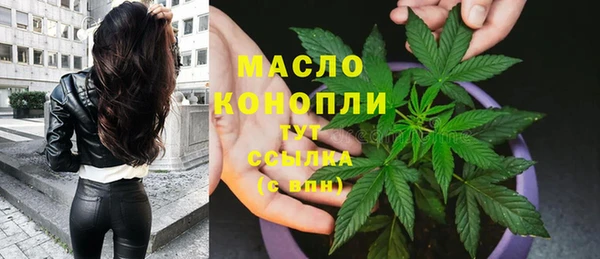spice Карпинск