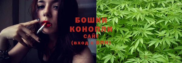 spice Карпинск