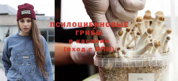 амф Карталы